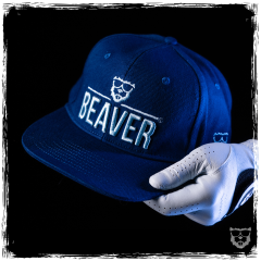 BEAVER Bio-Flat Snapback 'blue'