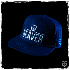 BEAVER Bio-Flat Snapback 'blue'